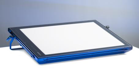 prolite LED